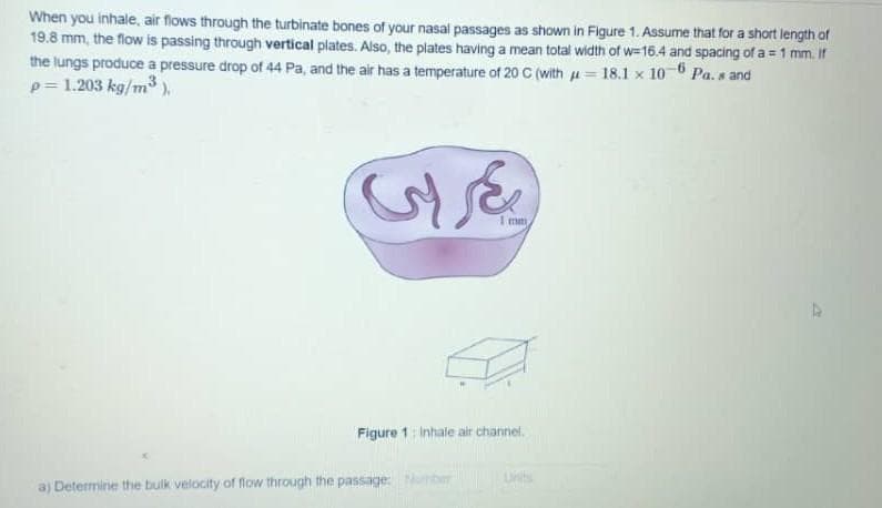 When you inhale, air flows through the turbinate bones of your nasal passages as shown in Figure 1. Assume that for a short length of
19.8 mm, the flow is passing through vertical plates. Also, the plates having a mean total width of w=16.4 and spacing of a = 1 mm. If
the lungs produce a pressure drop of 44 Pa, and the air has a temperature of 20 C (with = 18.1 x 10-6 Pa.s and
p= 1.203 kg/m³),
GE
1 mm
Figure 1: Inhale air channel.
a) Determine the bulk velocity of flow through the passage: