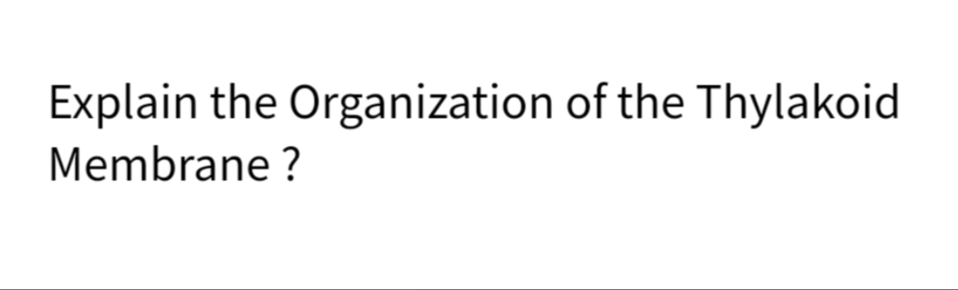 Explain the Organization of the Thylakoid
Membrane ?