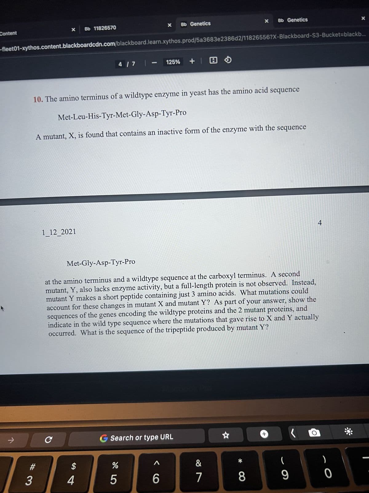 Content
→
X
#
3
-fleet01-xythos.content.blackboardcdn.com/blackboard.learn.xythos.prod/5a3683e2386d2/11826556?X-Blackboard-S3-Bucket-blackb...
1_12_2021
Bb 11826570
$
10. The amino terminus of a wildtype enzyme in yeast has the amino acid sequence
Met-Leu-His-Tyr-Met-Gly-Asp-Tyr-Pro
A mutant, X, is found that contains an inactive form of the enzyme with the sequence
4
CO G Search or type URL
X
4 | 7 | - 125% + | @
Met-Gly-Asp-Tyr-Pro
at the amino terminus and a wildtype sequence at the carboxyl terminus. A second
mutant, Y, also lacks enzyme activity, but a full-length protein is not observed. Instead,
mutant Y makes a short peptide containing just 3 amino acids. What mutations could
account for these changes in mutant X and mutant Y? As part of your answer, show the
sequences of the genes encoding the wildtype proteins and the 2 mutant proteins, and
indicate in the wild type sequence where the mutations that gave rise to X and Y actually
occurred. What is the sequence of the tripeptide produced by mutant Y?
%
5
Bb Genetics
A
6
X
&
7
☆
Bb Genetics
* 8
+
- 9
O
4
O
X
*