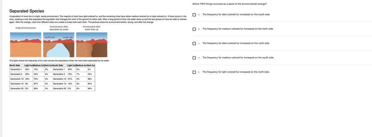 Separated Species
A population of mice live in a light, sandy environment. The majority of mice have light-colored fur, and the remaining mice have either medium-colored fur or dark-colored fur. A flood occurs in the
area, creating a river that separates the population and changes the color of the ground on either side. After a long period of time, the water dries up and the two groups of mice are able to interact
again. After the change, mice from different sides are unable to breed with each other. The pictures show the environment before, during, and after the change.
Original Environment
Generation 5 50%
Generation 10 20%
Generation 15 8%
The table shows the frequency of fur color across the populations when the mice were separated by the water.
North Side Light fur Medium fur Dark fur South Side
Light fur Medium fur Dark fur
90% 5%
Generation 1 85%
12%
3%
5%
Generation 20 0%
45%
75%
87%
96%
North side
5%
5%
Environments after
separation by water
5%
4%
South side
Generation 1
Generation 5
70%
Generation 10 37%
Generation 15 10%
Generation 20 0%
7%
5%
6%
Environment after
water dries up
6%
23%
58%
84%
94%
Which TWO things occurred as a result of the environmental change?
A.
B.
C.
D.
E.
The frequency for dark-colored fur increased on the south side.
The frequency for medium-colored fur increased on the north side.
The frequency for dark-colored fur increased on the north side.
The frequency for medium-colored fur increased on the south side.
The frequency for light-colored fur increased on the north side.