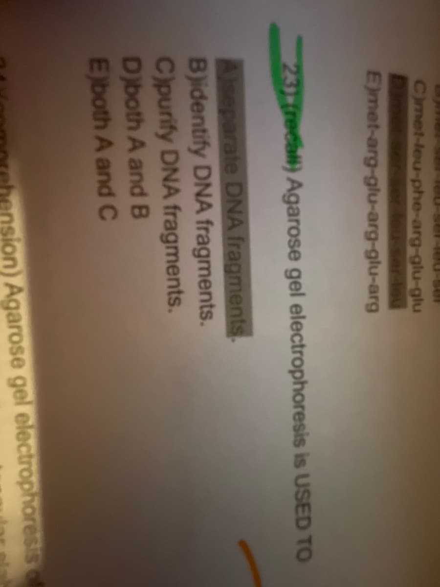 Cmet-leu-phe-arg-glu-glu
ou ser-lou
Emet-arg-glu-arg-glu-arg
23) frecall) Agarose gel electrophoresis is USED TO
Alseparate DNA fragments.
Bidentify DNA fragments.
C)purify DNA fragments.
D)both A and B
Elboth A and C
nsion) Agarose gel electrophoress
