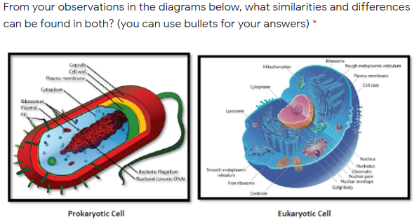 From your observations in the diagrams below, what similarities and differences
can be found in both? (you can use bullets for your answers) *
Ribosome
Capsule
Cdli wall
Plasma membane
Mtochenaen
Rogh endoplamik reticum
Plasma membrane
Cell co
Cyeplam
Ctoplesme
Rbosomes
Plasmid
lanosome
PA
Nudolus
Bacteria agelum
Smeeth endaplami
reticulum
Chromatin
Nulear pore
Nuder envelope
Nucleoid (circuler ONA
Free riboseme
Golyi boty
Centrice
Prokaryotic Cell
Eukaryotic Cell
