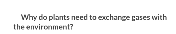 Why do plants need to exchange gases with
the environment?
