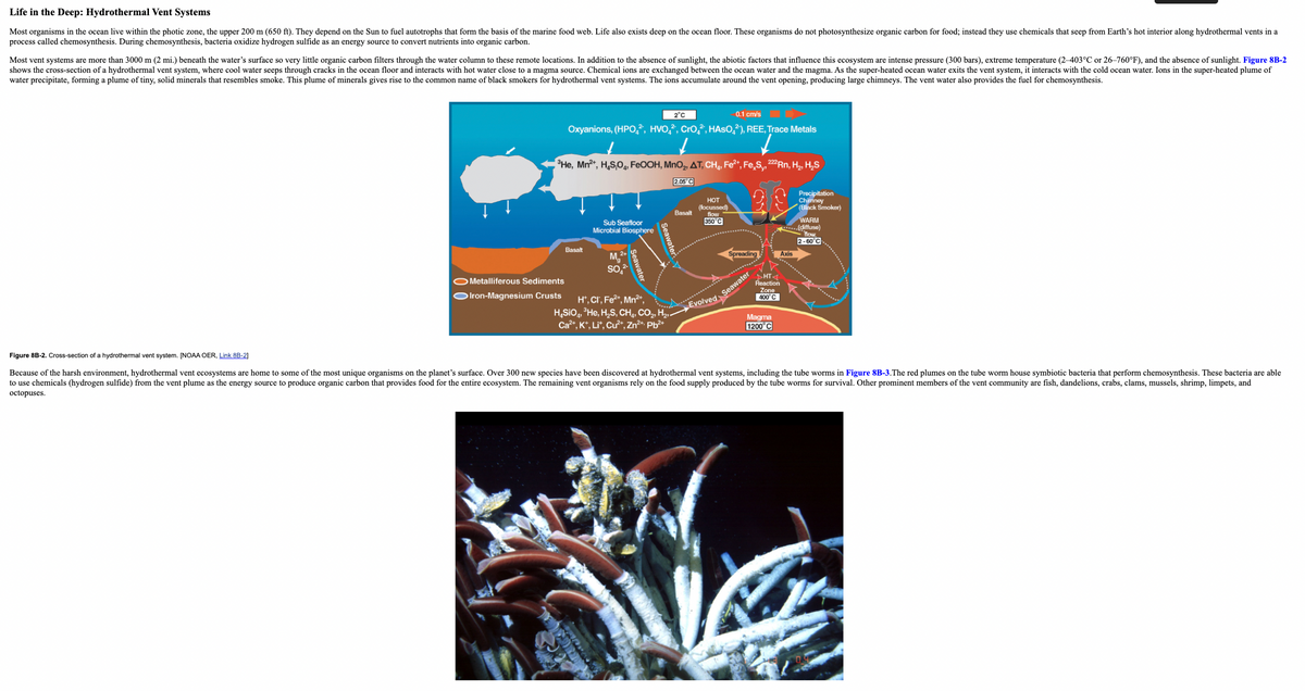 Life in the Deep: Hydrothermal Vent Systems
Most organisms in the ocean live within the photic zone, the upper 200 m (650 ft). They depend on the Sun to fuel autotrophs that form the basis of the marine food web. Life also exists deep on the ocean floor. These organisms do not photosynthesize organic carbon for food; instead they use chemicals that seep from Earth's hot interior along hydrothermal vents in a
process called chemosynthesis. During chemosynthesis, bacteria oxidize hydrogen sulfide as an energy source to convert nutrients into organic carbon.
Most vent systems are more than 3000 m (2 mi.) beneath the water's surface so very little organic carbon filters through the water column to these remote locations. In addition to the absence of sunlight, the abiotic factors that influence this ecosystem are intense pressure (300 bars), extreme temperature (2-403°C or 26-760°F), and the absence of sunlight. Figure 8B-2
shows the cross-section of a hydrothermal vent system, where cool water seeps through cracks in the ocean floor and interacts with hot water close to a magma source. Chemical ions are exchanged between the ocean water and the magma. As the super-heated ocean water exits the vent system, it interacts with the cold ocean water. Ions in the super-heated plume of
water precipitate, forming a plume of tiny, solid minerals that resembles smoke. This plume of minerals gives rise to the common name of black smokers for hydrothermal vent systems. The ions accumulate around the vent opening, producing large chimneys. The vent water also provides the fuel for chemosynthesis.
2°C
0.1 cm/s
Oxyanions, (HPO,, HVO,, Cro,, HASO,?), REE, Trace Metals
He, Mn2*, H,S,0,4, FEOOH, MnO2, AT, CH, Fe2+, Fe,S,²Rn, H, H,S
2.05°C
Precipitation
Chimney
(Black Smoker)
HOT
(focussed)
flow
Basalt
Sub Seafloor
Microbial Biosphere
350°C
WARM
...diffuse)
flow
2-60°C
Basalt
M,2
Spreading
Axis
O Metalliferous Sediments
OIron-Magnesium Crusts
H*, Cr, Fe2*, Mn²*,
H,SiO, He, H,S, CH,, CO, H,
Ca", K*, Li*, Cư", Zn* Pb*
Seawater
Evolved
Figure 8B-2. Cross-section of a hydrothermal vent system. [NOAA OER, Link 8B-2]
Because of the harsh environment, hydrothermal vent ecosystems are home to some of the most unique organisms on the planet's surface. Over 300 new species have been discovered at hydrothermal vent systems, including the tube worms in Figure 8B-3.The red plumes on the tube worm house symbiotic bacteria that perform chemosynthesis. These bacteria are able
to use chemicals (hydrogen sulfide) from the vent plume as the energy source to produce organic carbon that provides food for the entire ecosystem. The remaining vent organisms rely on the food supply produced by the tube worms for survival. Other prominent members of the vent community are fish, dandelions, crabs, clams, mussels, shrimp, limpets, and
octopuses.
Seawater
Seawater
