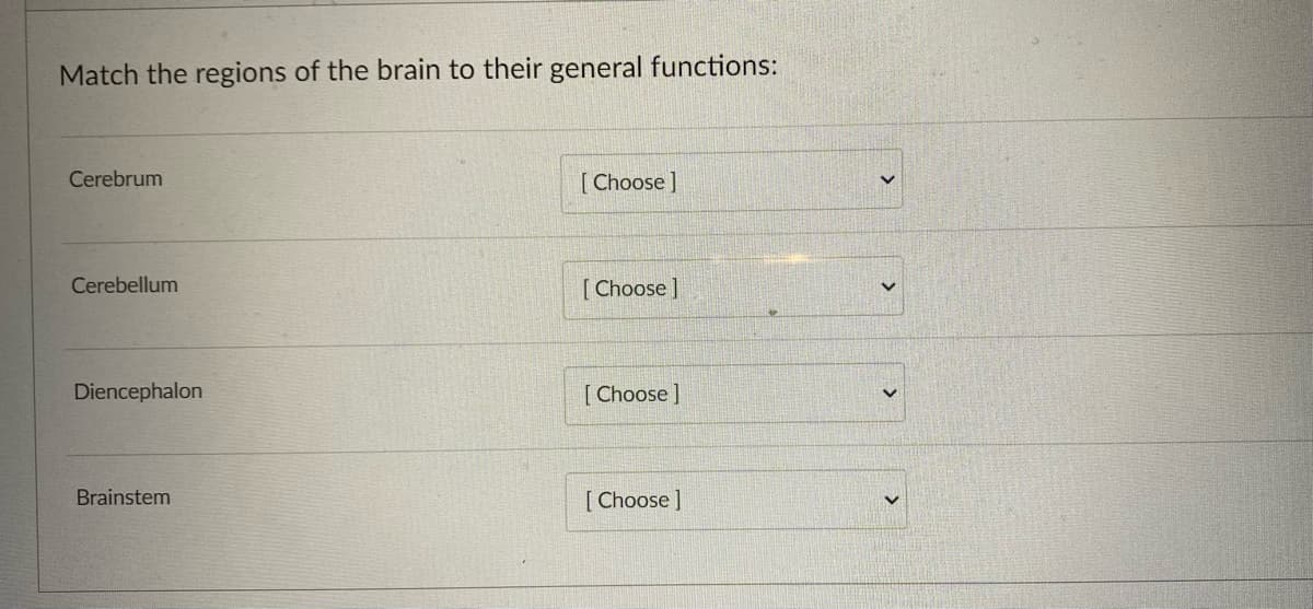 Match the regions of the brain to their general functions:
Cerebrum
Cerebellum
Diencephalon
Brainstem
[Choose]
[Choose]
[Choose ]
[Choose ]