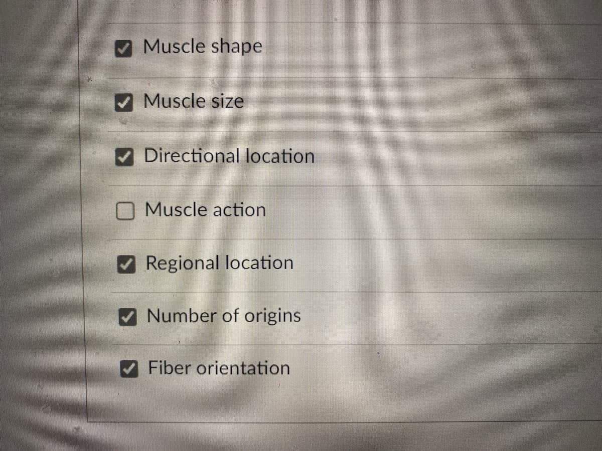 ✔Muscle shape
✔Muscle size
Directional location
Muscle action
✔Regional location.
Number of origins
Fiber orientation