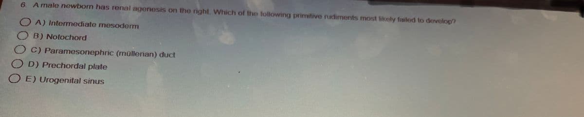 6. A male newborn has renal agenesis on the right. Which of the following primitive rudiments most likely failed to develop?
OA) Intermediate mesoderm
OB) Notochord
C) Paramesonephric (müllerian) duct
OD) Prechordal plate
OE) Urogenital sinus