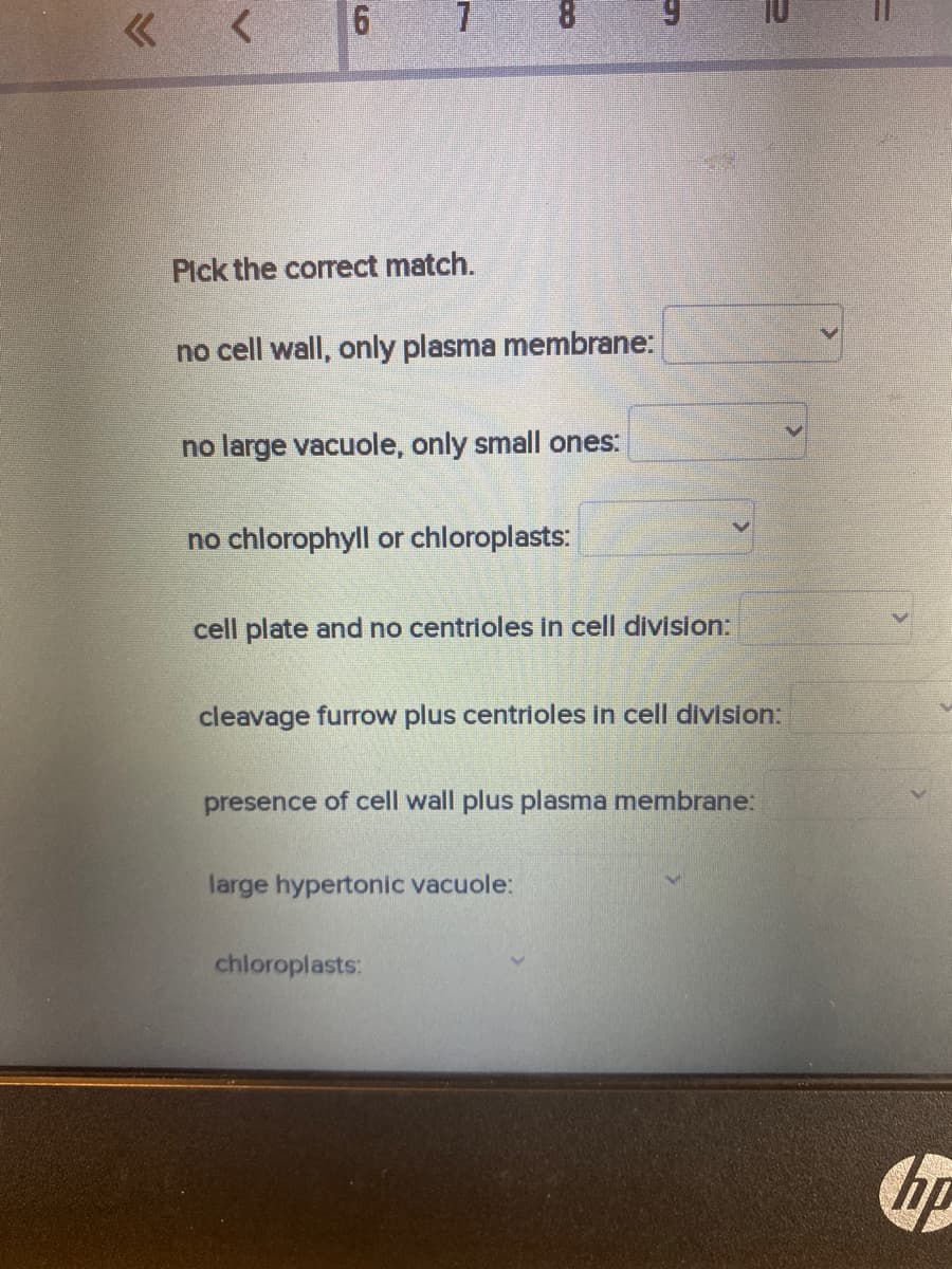 **Pick the correct match:**

**no cell wall, only plasma membrane:**
(Select the correct option)

**no large vacuole, only small ones:**
(Select the correct option)

**no chlorophyll or chloroplasts:**
(Select the correct option)

**cell plate and no centrioles in cell division:**
(Select the correct option)

**cleavage furrow plus centrioles in cell division:**
(Select the correct option)

**presence of cell wall plus plasma membrane:**
(Select the correct option)

**large hypertonic vacuole:**
(Select the correct option)

**chloroplasts:**
(Select the correct option)

In this task, you are asked to match certain cellular features to their corresponding descriptions. This exercise helps in understanding the structure and function of different cell types—whether it be plant cells, animal cells, or others—based on their unique characteristics.