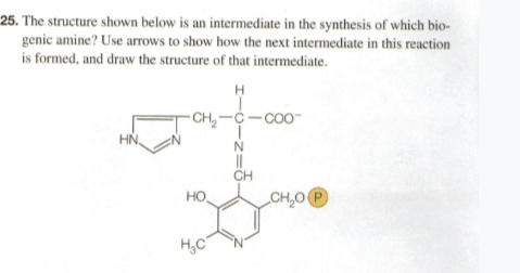 25. The structure shown below is an intermediate in the synthesis of which bio-
genic amine? Use arrows to show how the next intermediate in this reaction
is formed, and draw the structure of that intermediate.
-CH,-C-co0-
HN,
CH
но,
CH,OP
H,C
N.
I-0-z=8-
