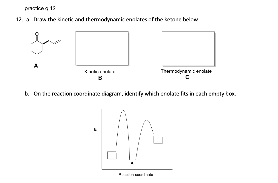 practice q 12
12. a. Draw the kinetic and thermodynamic enolates of the ketone below:
A
Kinetic enolate
B
Thermodynamic enolate
C
b. On the reaction coordinate diagram, identify which enolate fits in each empty box.
E
IN
A
Reaction coordinate