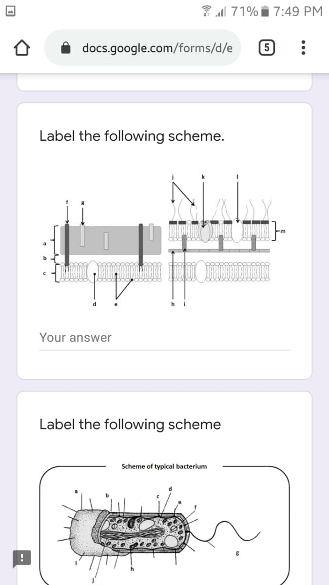 3l 71% i 7:49 PM
docs.google.com/forms/d/e
Label the following scheme.
h
Your answer
Label the following scheme
Scheme of typical bacterium
