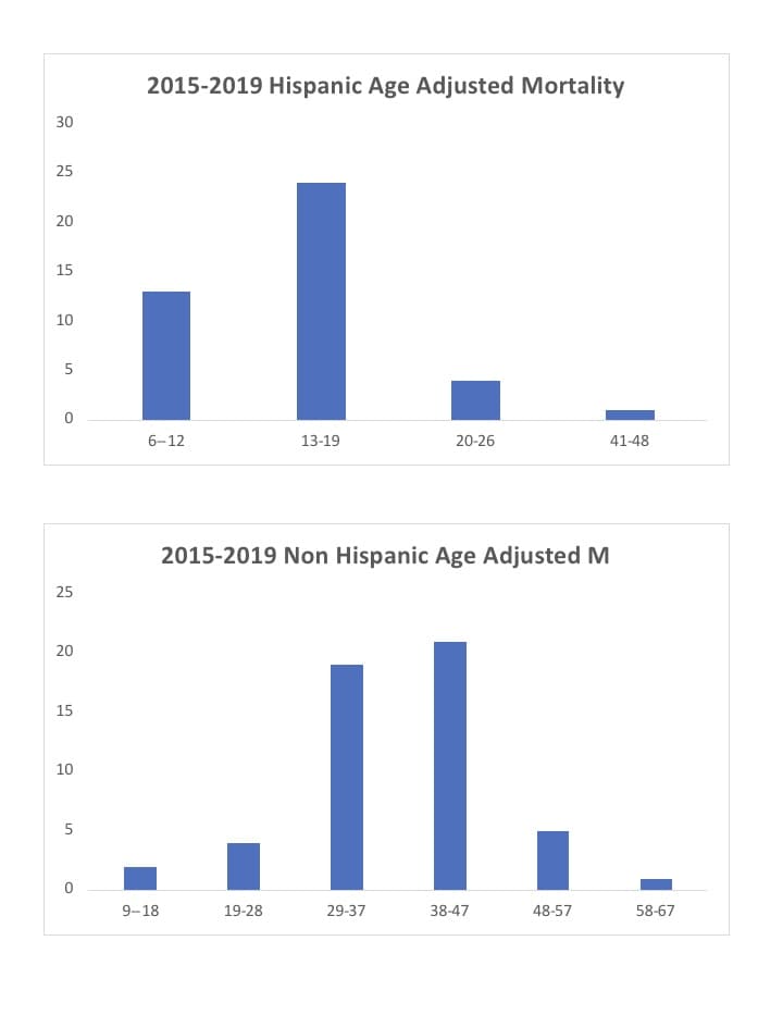 2015-2019 Hispanic Age Adjusted Mortality
30
25
20
15
10
6-12
13-19
20-26
41-48
2015-2019 Non Hispanic Age Adjusted M
25
II.
20
15
10
9-18
19-28
29-37
38-47
48-57
58-67
