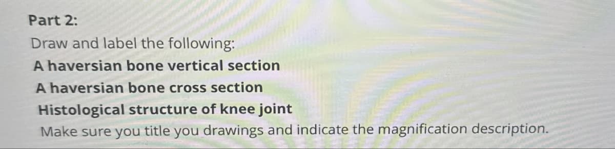 Part 2:
Draw and label the following:
A haversian bone vertical section
A haversian bone cross section
Histological structure of knee joint
Make sure you title you drawings and indicate the magnification description.