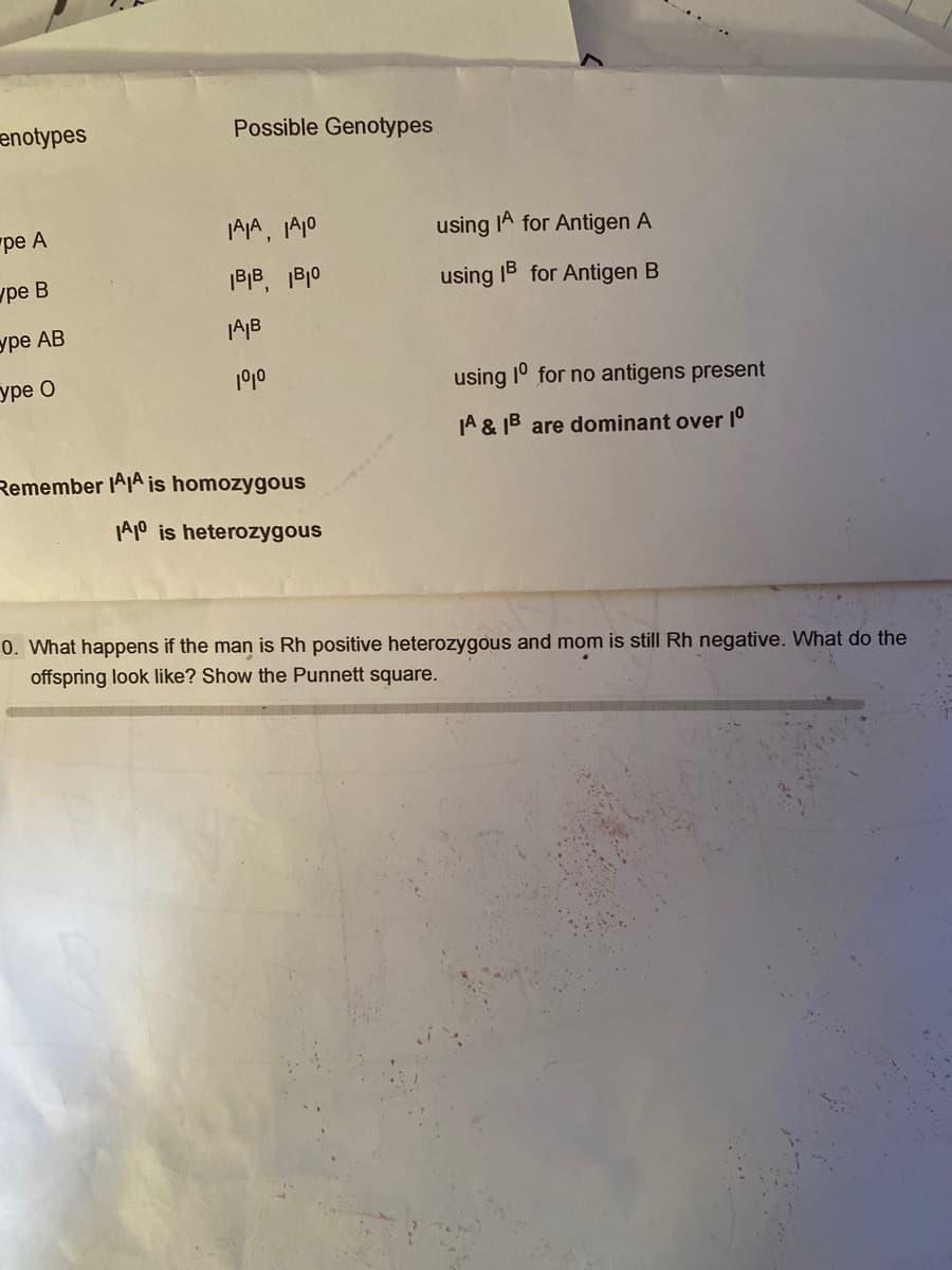 enotypes
Possible Genotypes
ре А
using IA for Antigen A
уре В
|B|B, B10
using 1B for Antigen B
уре АВ
JA|B
уре О
1010
using 1° for no antigens present
JA & IB are dominant over 1°
Remember IAA is homozygous
IA1° is heterozygous
0. What happens if the man is Rh positive heterozygous and mom is still Rh negative. What do the
offspring look like? Show the Punnett square.
