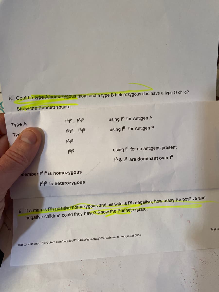 8. Could a type A homozygous mom and a type B heterozygous dad have a type O child?
Show the Punnett square.
Турe A
IAA, IA10
using IA for Antigen A
Tyr
B|B, B10
using IB for Antigen B
using 10 for no antigens present
JA & IB are dominant over 1°
member IAIA is homozygous
A10 is heterozygous
9. If a man is Rh positive homozygous and his wife is Rh negative, how many Rh positive and
negative children could they have? Show the Punnet square.
Page 3
https://camdencc.instructure.com/courses/11154/assignments/163003?module_item_id=380851
94/assign
