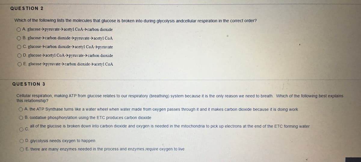 QUESTION 2
Which of the following lists the molecules that glucose is broken into during glycolysis andcellular respiration in the correct order?
O A. glucose>pyruvate>acetyl CoA>carbon dioxide
O B. glucose->carbon dioxide->pyruvate>acetyl CoA
O C. glucose>carbon dioxide>acetyl CoA>pyruvate
O D. glucose->acetyl CoA>pyruvate>carbon dioxide
O E. glucose>pyruvate->carbon dioxide>acetyl CoA
QUESTION 3
Cellular respiration, making ATP from glucose relates to our respiratory (breathing) system because it is the only reason we need to breath. Which of the following best explains
this relationship?
O A. the ATP Synthase turns like a water wheel when water made from oxygen passes through it and it makes carbon dioxide because it is doing work
O B. oxidative phosphorylation using the ETC produces carbon dioxide
all of the glucose is broken down into carbon dioxide and oxygen is needed in the mitochondria to pick up electrons at the end of the ETC forming water
O D. glycolysis needs oxygen to happen
O E. there are many enzymes needed in the process and enzymes require oxygen to live
