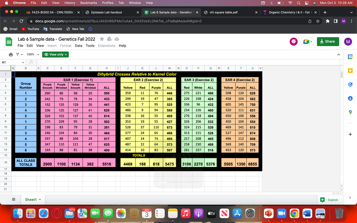 A1
1
2
3
4
5
6
7
8
9
10
11
12
13
14
15
16
8
17
18
19
20
21
Chrome File Edit View History Bookmarks Profiles Tab Window Help
Gmail
A
с
Y
in FA23-B1300 0A - CRN:10059: EX
100%
B
YouTube
Lab 6 Sample data - Genetics Fall 2022 ✩ 40
File Edit View Insert Format Data Tools Extensions Help
View only
5
1
2
3
4
5
6
Group
Number
1
2
3
4
fx |
docs.google.com/spreadsheets/d/16uxJAKSH95tFMo7uAa4_0433VaXLGNkTsk_cFlaBqMw/edit#gid=0
ALL CLASS
TOTALS
Sheet1
C
Translate
D
Purple
Smooth
290
242
152
336
329
270
198
246
297
347
193
www.g
E
New Tab
F
O
Epistasis Lab handout
G
EAR 1 (Exercise 1)
Purple Yellow Yellow
Wrinkled Smooth Wrinkled
86
99
25
79
78
34
125
129
35
125
127
41
103
137
45
109
95
28
83
79
31
104
84
30
88
104
28
110
121
47
88
81
38
9,312
2900 1100 1134 382 5516
H
L
M
Dihybrid Crosses Relative to Kernel Color
EAR 2 (Exercise 2)
ALL
500
433
441
629
614
502
391
464
517
625
400
I
X + Lab 6 Sample data - Genetics F X
J
Yellow
359
299
423
486
338
353
526
377
407
487
414
K
Red Purple
76
11
19
47
7
95
9
94
16
55
19
55
37
110
24
65
14
74
22
64
10
83
TOTALS
ALL
446
365
525
589
409
427
673
466
495
573
507
4469 188 818 5475
OCT
3
N
P
chi square table.pdf
Q
EAR 3 (Exercise 2)
Red White ALL
275 221 496
424
226 198
336 96
432
460
234 226
276 218
494
326
206
532
324 215
539
313
215
528
257
208
465
258 230
488
281 237 518
3106 2270 5376
tv
R
S
T
U
2
X
EAR 4 (Exercise 2)
Yellow Purple ALL
508 120
628
458
104
562
605 145
750
520
111
631
450 106
556
450
104
554
469
141
610
527 147
496 112
674
608
709
140
569
453
120 573
5505 1350 6855
V
26
P
((.
Ơ
O
០១
Organic Chemistry I & II - Fall 2 X
W
Mon Oct 3 10:26 AM
Share
| м
Explore
M
J
:
31
+