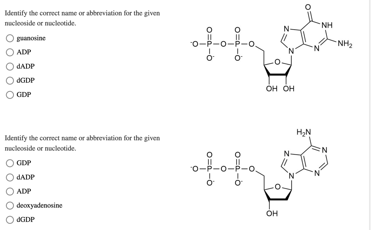 Identify the correct name or abbreviation for the given
nucleoside or nucleotide.
guanosine
ADP
dADP
dGDP
GDP
Identify the correct name or abbreviation for the given
nucleoside or nucleotide.
GDP
dADP
ADP
O deoxyadenosine
dGDP
OMP
O
||
-O-P-O-P-O.
fot
O™
tt
-O-P-O-
O™
ܘ ܐ ܘ ܐ
OIPIO
N
OH OH
OH
N
H₂N
N
ΝΗ
N
NH₂