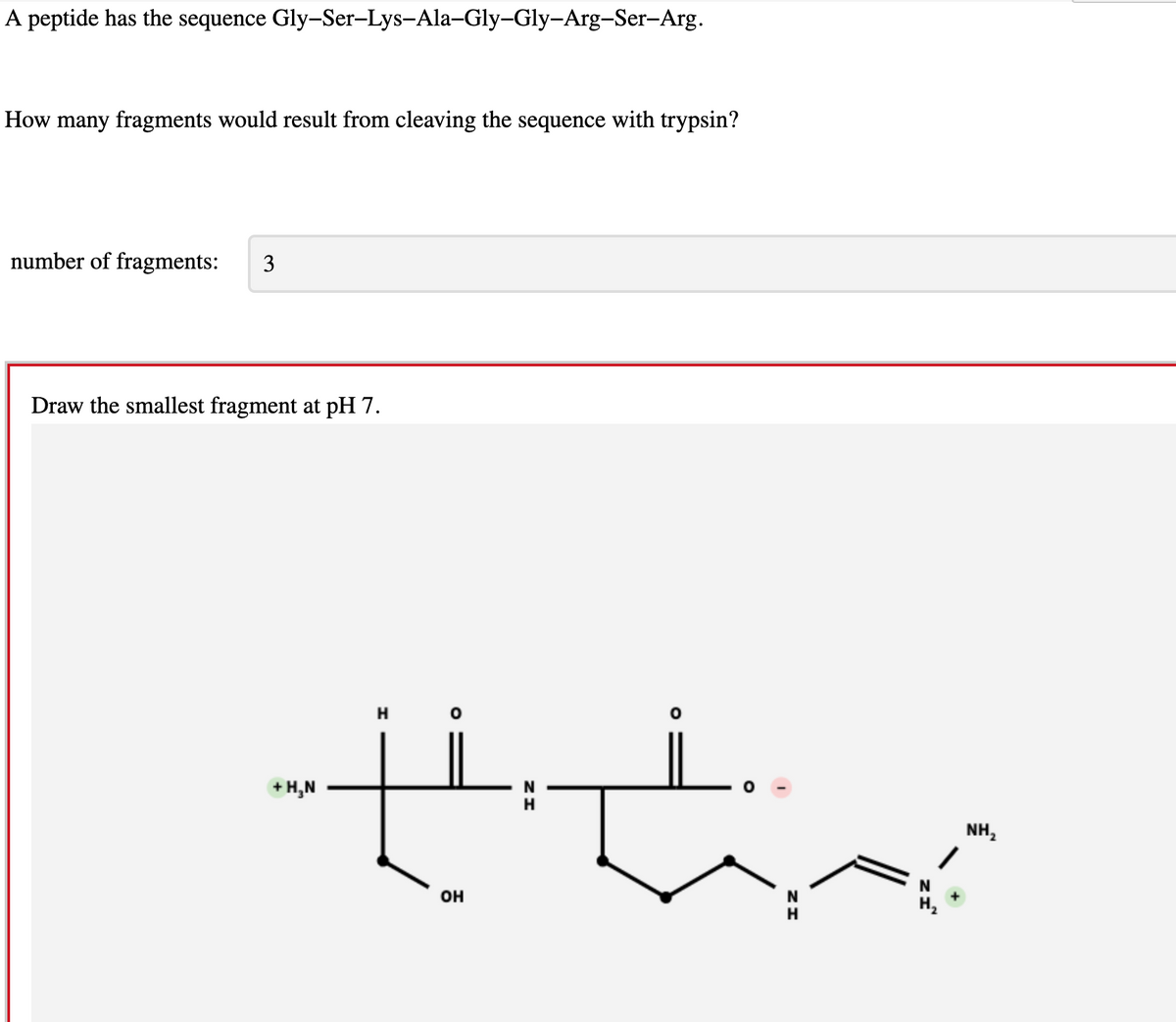 A peptide has the sequence Gly-Ser-Lys-Ala-Gly-Gly-Arg-Ser-Arg.
How many fragments would result from cleaving the sequence with trypsin?
number of fragments: 3
Draw the smallest fragment at pH 7.
+ H₂N
H
O
OH
ZH
N
O
_..
NH ₂