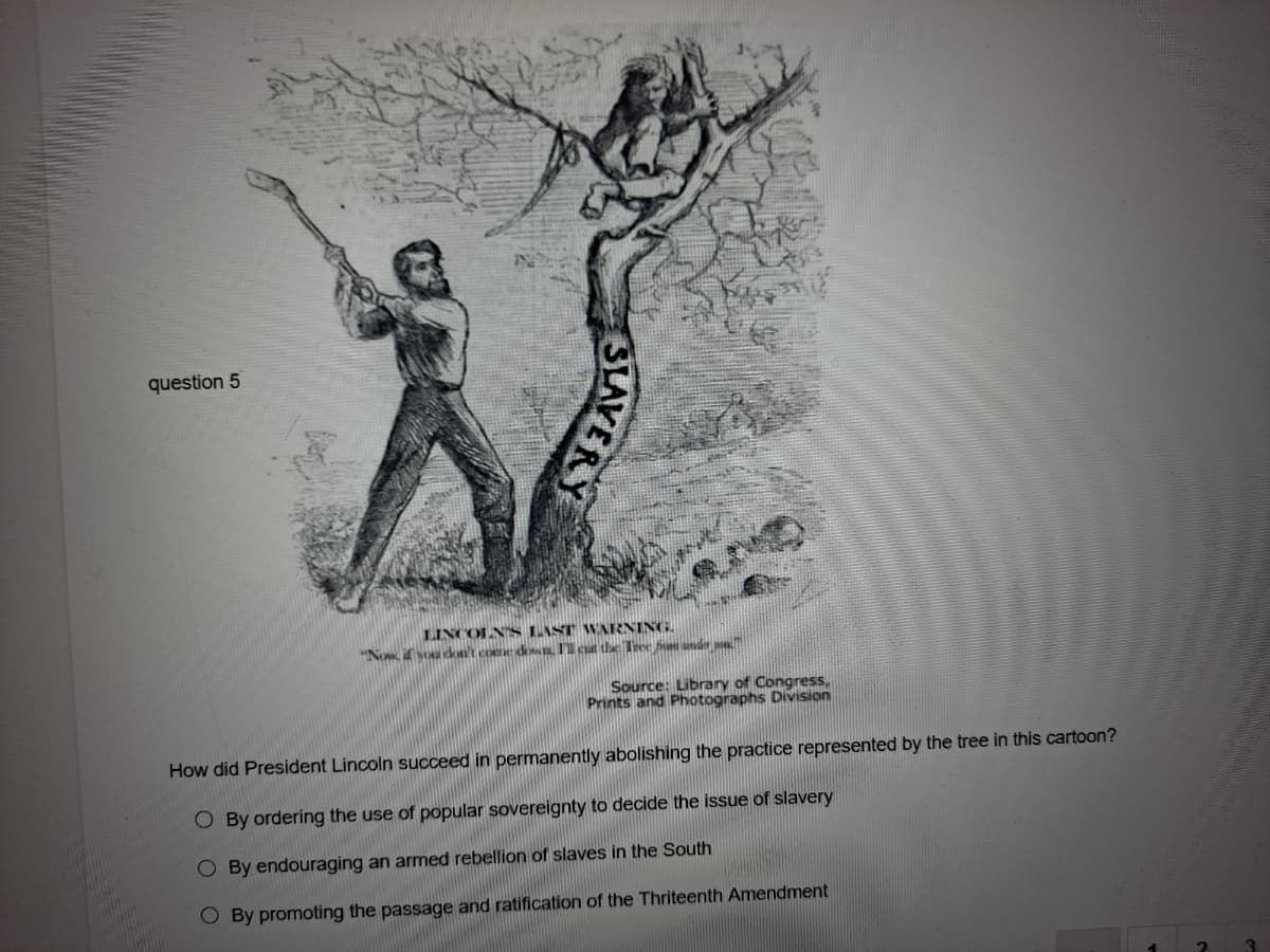 question 5
LINCOLNS LAST WARNING.
"Now, isou don't cone don Icut the Tree bum under .
Source: Library of Congress,
Prints and Photographs Division
How did President Lincoln succeed in permanently abolishing the practice represented by the tree in this cartoon?
O By ordering the use of popular sovereignty to decide the issue of slavery
O By endouraging an armed rebellion of slaves in the South
O By promoting the passage and ratification of the Thriteenth Amendment
SLAVERY
