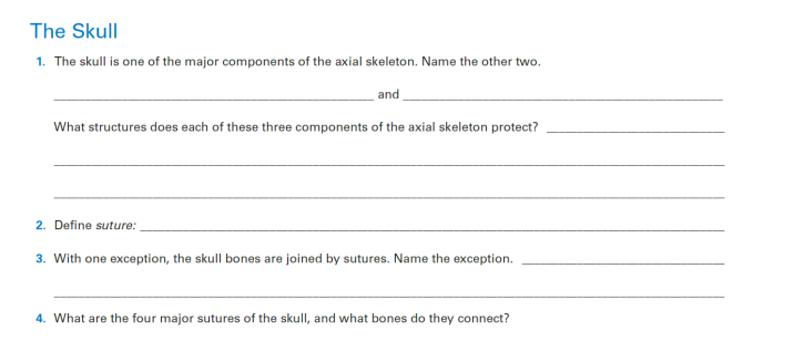 The Skull
1. The skull is one of the major components of the axial skeleton. Name the other two.
and
What structures does each of these three components of the axial skeleton protect?
2. Define suture:
3. With one exception, the skull bones are joined by sutures. Name the exception.
4. What are the four major sutures of the skull, and what bones do they connect?
