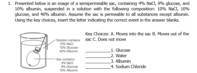 1. Presented below is an image of a semipermeable sac, containing 4% NaCl, 9% glucose, and
10% albumin, suspended in a solution with the following composition: 10% NaCl, 10%
glucose, and 40% albumin. Assume the sac is permeable to all substances except albumin.
Using the key choices, insert the letter indicating the correct event in the answer blanks.
Key Choices: A. Moves into the sac B. Moves out of the
Solution contains: sac C. Does not move
10% Naci
10% Glucose
_1. Glucose
40% Albumin
_2. Water
3. Albumin
_4. Sodium Chloride
-Sac contains:
4% Naci
9% Glucose
10% Albumin
