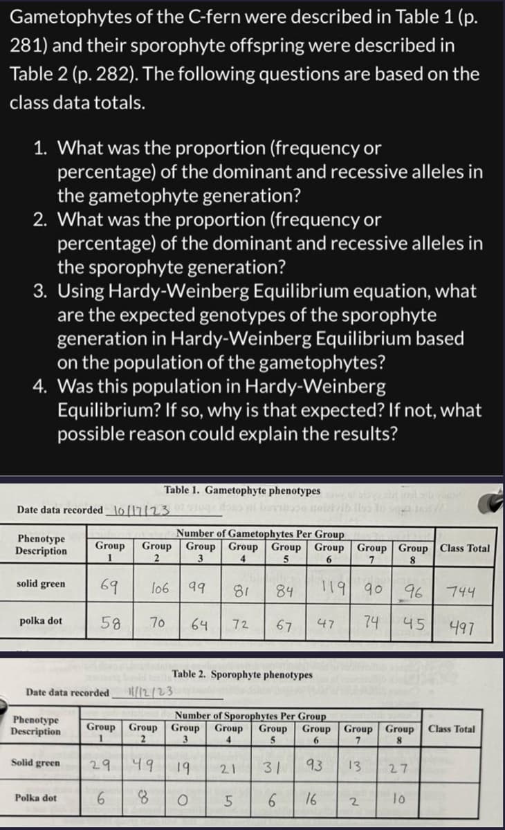 Gametophytes of the C-fern were described in Table 1 (p.
281) and their sporophyte offspring were described in
Table 2 (p. 282). The following questions are based on the
class data totals.
1. What was the proportion (frequency or
percentage) of the dominant and recessive alleles in
the gametophyte generation?
2. What was the proportion (frequency or
percentage) of the dominant and recessive alleles in
the sporophyte generation?
3. Using Hardy-Weinberg Equilibrium equation, what
are the expected genotypes of the sporophyte
generation in Hardy-Weinberg Equilibrium based
on the population of the gametophytes?
4. Was this population in Hardy-Weinberg
Equilibrium? If so, why is that expected? If not, what
possible reason could explain the results?
Table 1. Gametophyte phenotypes et slagali
Date data recorded 10/17/23dono bene izivib loo in aqua tes//
Phenotype
Description
solid green
polka dot
Phenotype
Description
Solid green
Group
1
69
58
Polka dot
Number of Gametophytes Per Group
Group Group Group Group Group Group Group Class Total
2
3
4
5
6
7
8
Date data recorded 11/12/23
106 99
70 64
Group Group
1
2
29
6
30
81
५१ 19
O
72
Table 2. Sporophyte phenotypes
84
67
21
Number of Sporophytes Per Group
Group Group Group
3
4
5
Group
6
31
6
5
119 १०
47
93
16
96
74 45 497
Group
7
13
2
Group Class Total
8
27
744
10