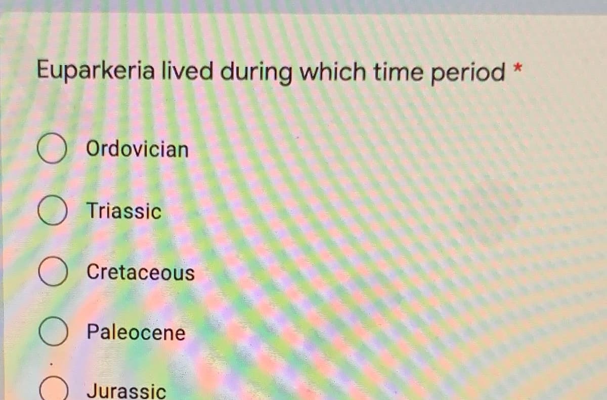 Euparkeria lived during which time period *
O Ordovician
Triassic
Cretaceous
Paleocene
Jurassic
