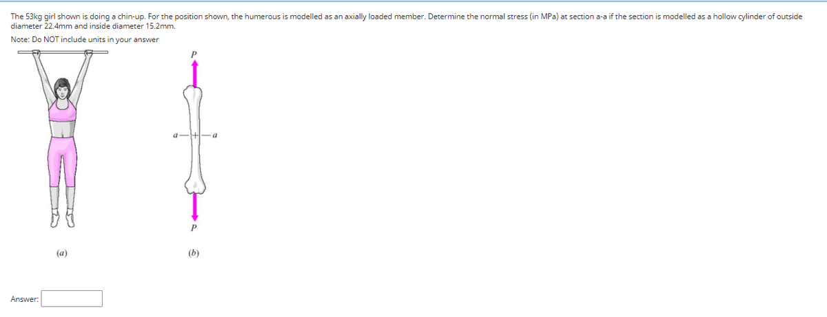 The 53kg girl shown is doing a chin-up. For the position shown, the humerous is modelled as an axially loaded member. Determine the normal stress (in MPa) at section a-a if the section is modelled as a hollow cylinder of outside
diameter 22.4mm and inside diameter 15.2mm.
Note: Do NOT include units in your answer
a-+-a
(а)
(b)
Answer:

