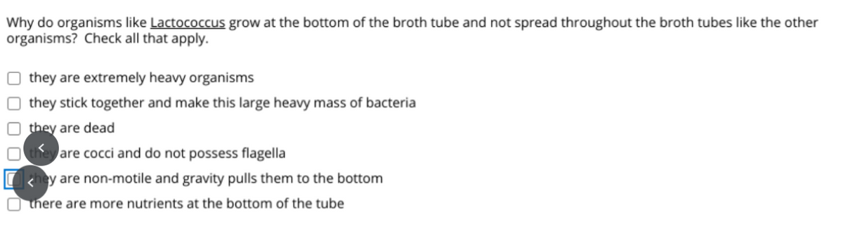 Why do organisms like Lactococcus grow at the bottom of the broth tube and not spread throughout the broth tubes like the other
organisms? Check all that apply.
they are extremely heavy organisms
O they stick together and make this large heavy mass of bacteria
O they are dead
are cocci and do not possess flagella
y are non-motile and gravity pulls them to the bottom
O there are more nutrients at the bottom of the tube
O O O O
