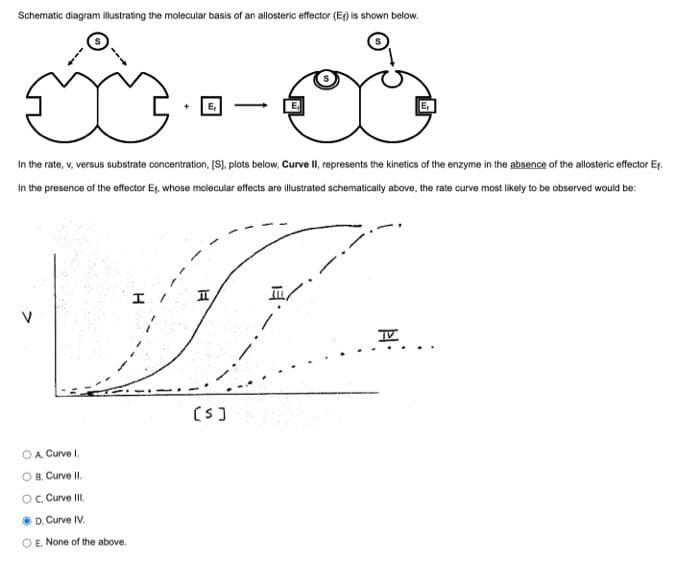 Schematic diagram illustrating the molecular basis of an allosteric effector (E₁) is shown below.
-
in the rate, v, versus substrate concentration, [S], plots below, Curve II, represents the kinetics of the enzyme in the absence of the allosteric efector Ef
In the presence of the effector Et, whose molecular effects are illustrated schematically above, the rate curve most likely to be observed would be:
مه
>
موجود
OA Curve I.
OB. Curve II.
OC. Curve III.
D. Curve IV.
OE. None of the above.
[5]
IV
E