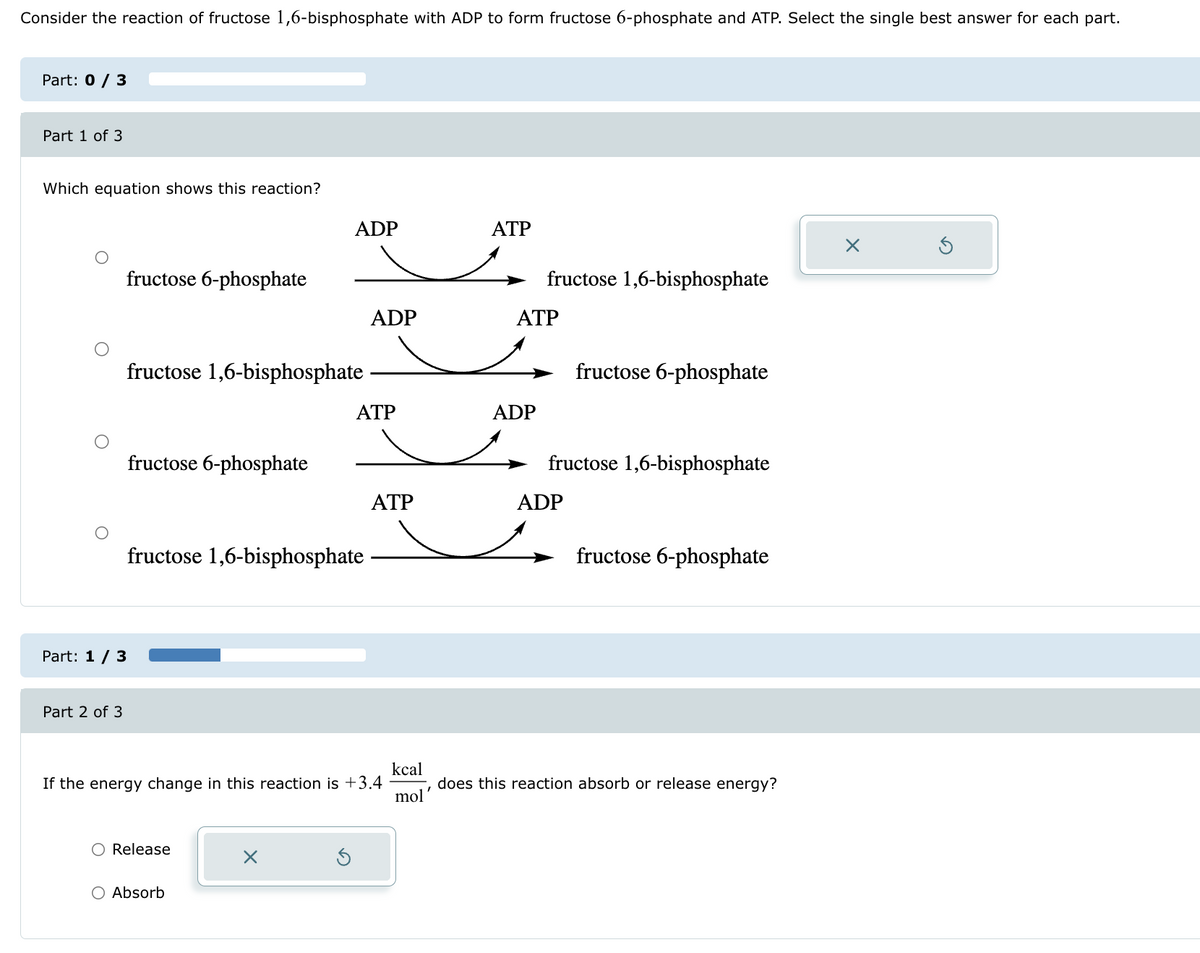 Consider the reaction of fructose 1,6-bisphosphate with ADP to form fructose 6-phosphate and ATP. Select the single best answer for each part.
Part: 0 / 3
Part 1 of 3
Which equation shows this reaction?
Part: 1/3
Part 2 of 3
ADP
ATP
☑
fructose 6-phosphate
fructose 1,6-bisphosphate
ADP
ATP
fructose 1,6-bisphosphate
fructose 6-phosphate
ATP
ADP
fructose 6-phosphate
fructose 1,6-bisphosphate
ATP
ADP
fructose 1,6-bisphosphate
fructose 6-phosphate
If the energy change in this reaction is +3.4
kcal
mol
does this reaction absorb or release energy?
○ Release
○ Absorb