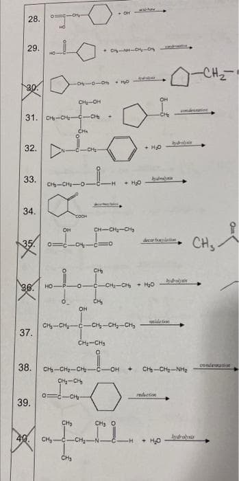 28.
29.
* O --O
CH2
30
он
CH-OH
ine
31. CH-CH--CH
CH
32.
CH
+ HO
33.
C-CH-O-
HO
34.
tOOH
OH
CH-CH-CH
CHS
d siai
35
CH
CH
36.
но
-CH - H20
CH
CHy-CH
c-C-CH-CH,
37.
CH-CH
38.
CH-CH-CH
CH-CH-NH2
condevation
OH
CH-CH
0C-CH-
reduction
39.
CH
CH O
49.
CH,-C-CH-N-
+ HO
losdrais
CHs
