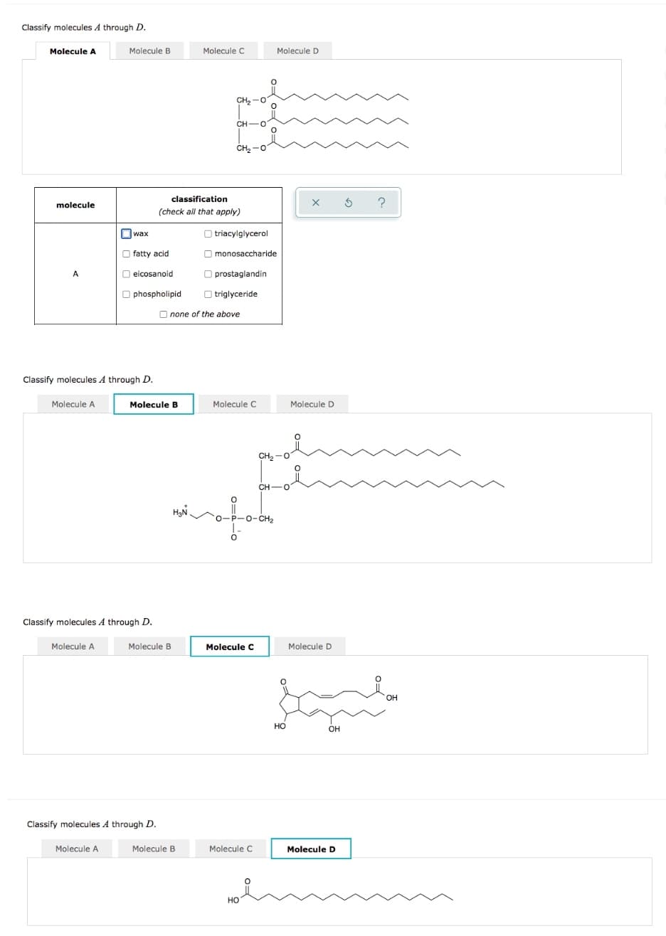 Classify molecules A through D.
Molecule A
Molecule B
Molecule C
Molecule D
CH, -0
CH-O
CH2 -0
classification
molecule
(check all that apply)
Owax
O triacylglycerol
O fatty acid
O monosaccharide
A
O eicosanoid
O prostaglandin
O phospholipid
O triglyceride
O none of the above
Classify molecules A through D.
Molecule A
Molecule B
Molecule C
Molecule D
CH2 -0
CH-O
o-P-0-cH,
CH2
Classify molecules A through D.
Molecule A
Molecule B
Molecule C
Molecule D
HO,
но
OH
Classify molecules A through D.
Molecule A
Molecule B
Molecule C
Molecule D
Но
