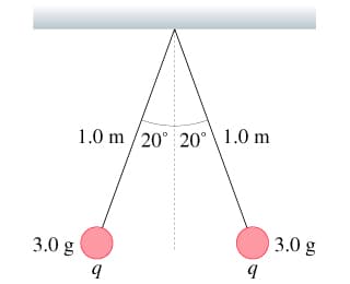 1.0 m /20° 20°\ 1.0 m
3.0 g
3.0 g
