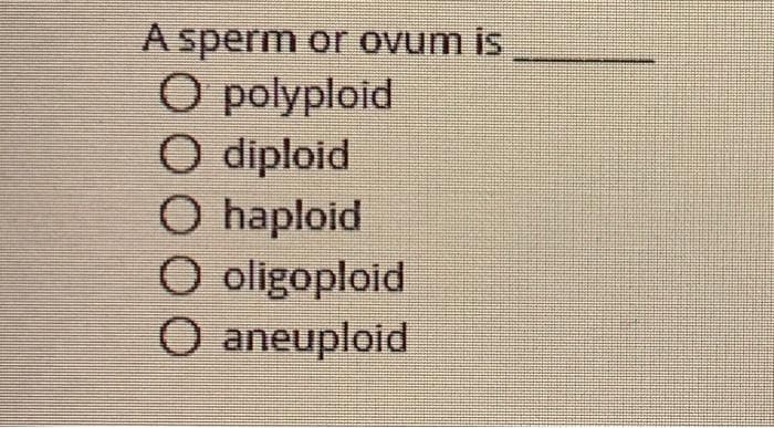 A sperm or ovum is
O polyploid
O diploid
O haploid
O oligoploid
O aneuploid
