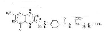 H2N.
CH
соо-
HN
10
N.
H
C-N
H. H
-C-N-CH-C-C-co0-
