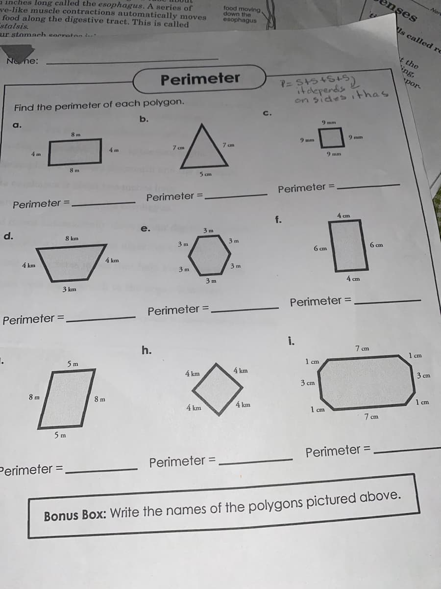 enşes
a inches long called the esophagus. A series of
ve-like muscle contractions automatically moves
food along the digestive tract. This is called
stalsis.
ur stomach secreton
Nor
food moving.
down the
esophagus
Is called rc
t the
ing,
None:
Perimeter
por-
itclepends
on sides ithas
Find the perimeter of each polygon.
Cc.
b.
9 mm
a.
9 mm
8 m
9 mm
7 cm
7 сm
4 m
9 mm
4 m
8 m
5 cm
Perimeter =
Perimeter =
Perimeter =
4 сm
f.
e.
3 m
d.
8 km
3 m
6 cm
3 m
6 cm
4 km
3 m
4 km
3 m
4 cm
3 m
3 km
Perimeter =
Perimeter =
Perimeter =
i.
7 cm
h.
1 cm
1 cm
1.
5 m
4 km
3 cm
4 km
3 cm
1 cm
8 m
8 m
4 km
4 km
1 cm
7 cm
5 m
Perimeter =
Perimeter =
Perimeter =
Bonus Box: Write the names of the polygons pictured above.
