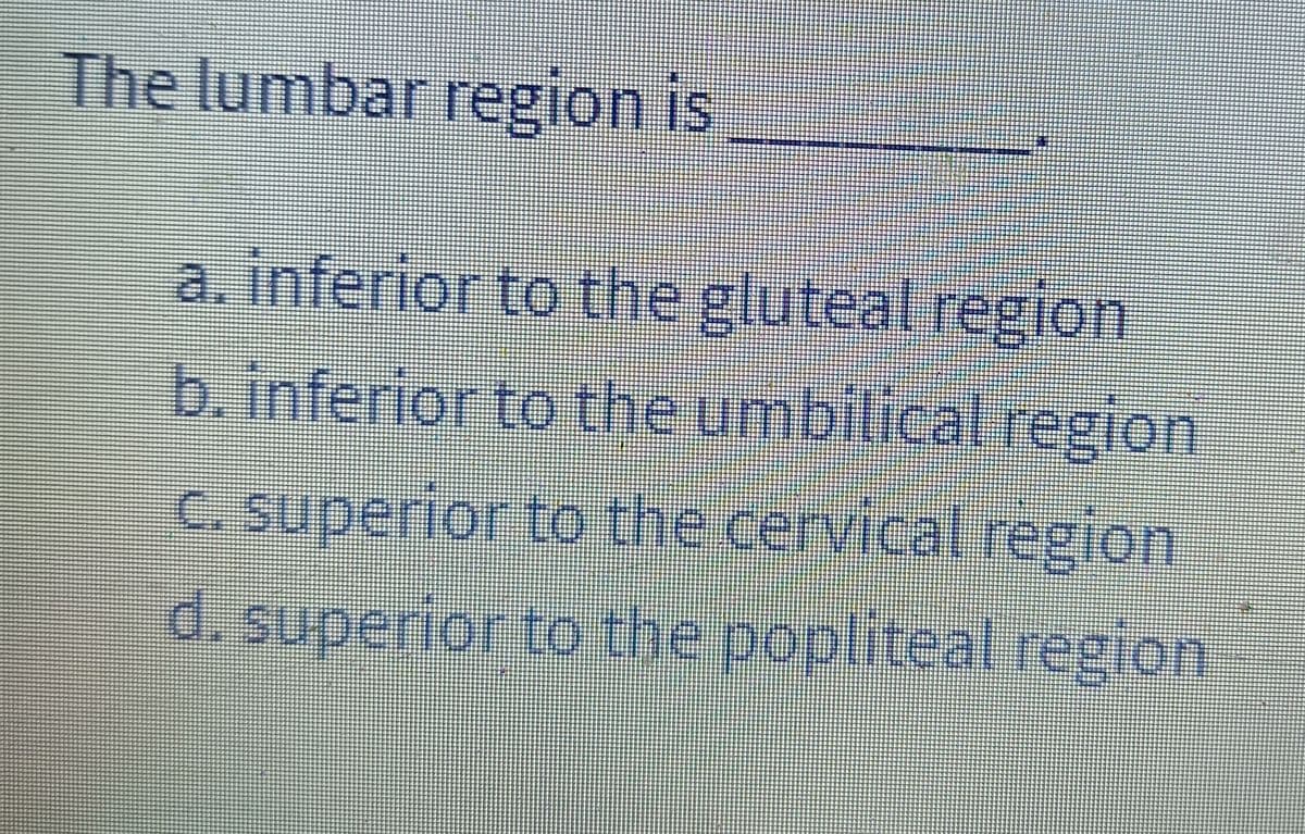 The lumbar region is
a. inferior to the gluteal region
b.inferierto theumbilical region
c.superior to the cervicat region
d. superier to the popliteal regien
