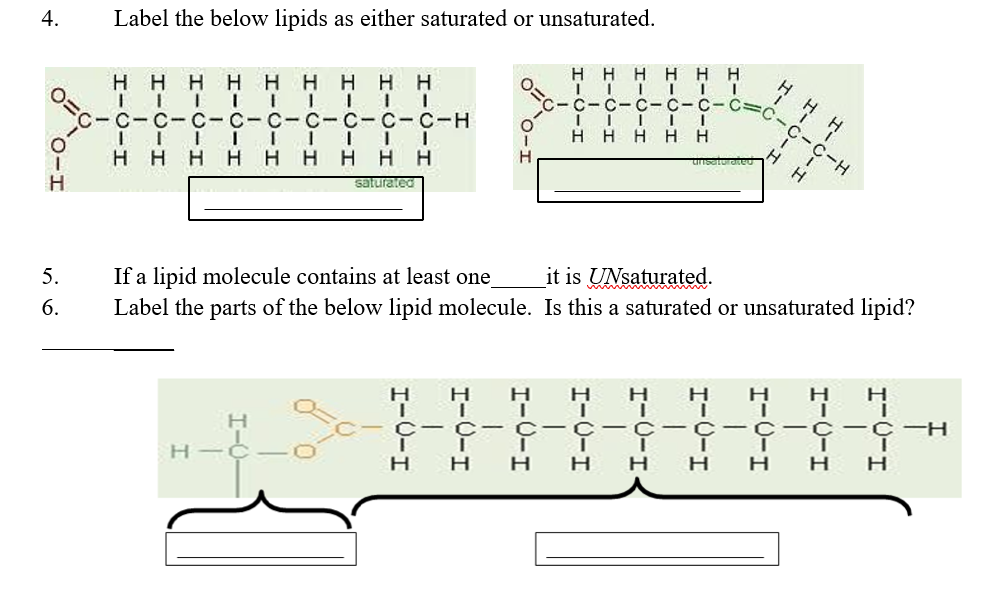 4.
Label the below lipids as either saturated or unsaturated.
HHHH H
H H
нн
H H
H.
H
C-C-C-C-C-C=
С- с-с- С-с-с-Н
H H H H H
H H H H
H H
H H H
saturated
If a lipid molecule contains at least one
Label the parts of the below lipid molecule. Is this a saturated or unsaturated lipid?
5.
it is UNsaturated.
6.
H.
H.
C- C- c-C -C- C-C- c-C-H
H -C
н н н н нн
нн
エー
HICI
HI
I-0-I
I-0-I
