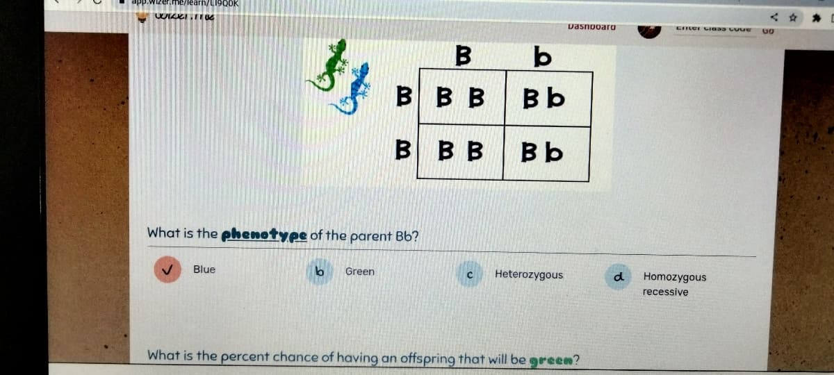 vizer.me/learn/L1900K
WIKT.110
Blue
What is the phenotype of the parent Bb?
b
в
ВВ В
Green
B
b
ВЬ
В В ВЬ
с Heterozygous
Dasnpoarg
What is the percent chance of having an offspring that will be green?
d
Efter Class Co
Homozygous
recessive
GO