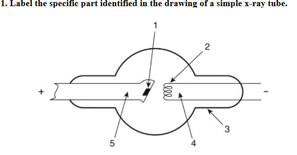 1. Label the specific part identified in the drawing of a simple x-ray tube.
1
2
10
5
Leee
+
3