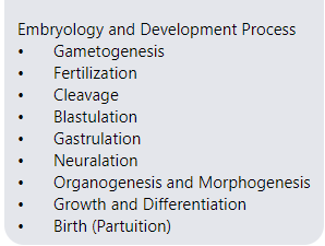 Embryology and Development Process
Gametogenesis
Fertilization
Cleavage
Blastulation
Gastrulation
Neuralation
Organogenesis and Morphogenesis
Growth and Differentiation
Birth (Partuition)
