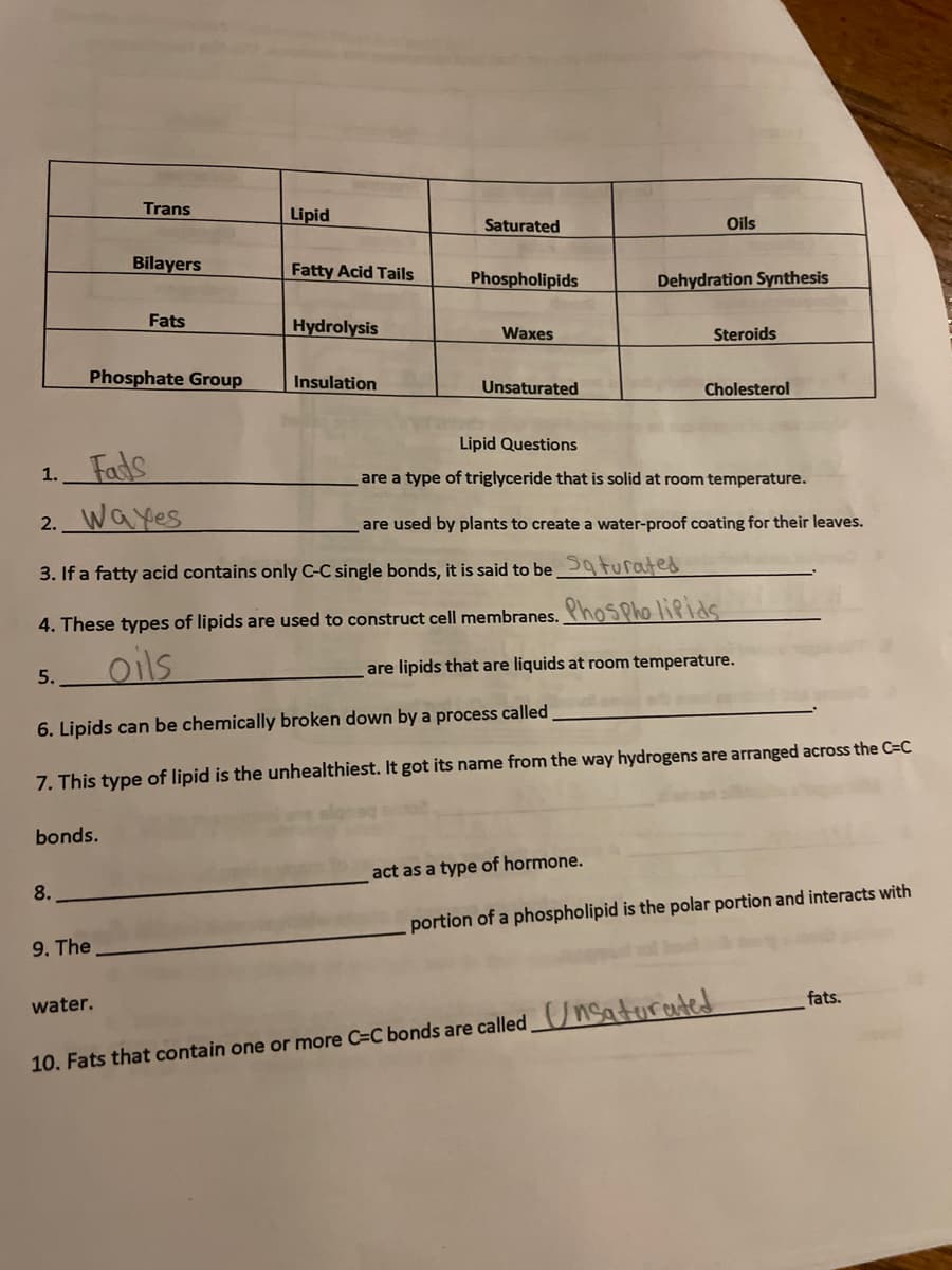 5.
1. Fads
2. Wayes
Trans
bonds.
8.
Bilayers
Phosphate Group
9. The
Fats
water.
Lipid
Fatty Acid Tails
Hydrolysis
Insulation
Saturated
Phospholipids
Waxes
Unsaturated
3. If a fatty acid contains only C-C single bonds, it is said to be Saturated
4. These types of lipids are used to construct cell membranes. Phospholipids
oils
are lipids that are liquids at room temperature.
Oils
Dehydration Synthesis
Steroids
6. Lipids can be chemically broken down by a process called
7. This type of lipid is the unhealthiest. It got its name from the way hydrogens are arranged across the C=C
Cholesterol
Lipid Questions
are a type of triglyceride that is solid at room temperature.
are used by plants to create a water-proof coating for their leaves.
act as a type of hormone.
portion of a phospholipid is the polar portion and interacts with
10. Fats that contain one or more C=C bonds are called Unsaturated
fats.