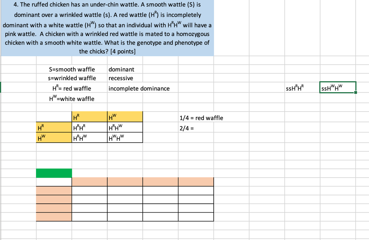 4. The ruffed chicken has an under-chin wattle. A smooth wattle (S) is
dominant over a wrinkled wattle (s). A red wattle (H") is incompletely
dominant with a white wattle (H") so that an individual with H*HW will have a
pink wattle. A chicken with a wrinkled red wattle is mated to a homozygous
chicken with a smooth white wattle. What is the genotype and phenotype of
the chicks? [4 points]
S=smooth waffle
dominant
s=wrinkled waffle
recessive
H= red waffle
incomplete dominance
ssH*H*
ssH"HW
3D
HW=white waffle
1/4 = red waffle
2/4 =
HW
HWHW
