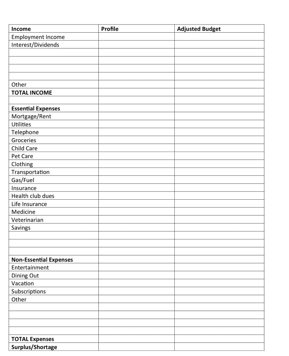 Income
Profile
Adjusted Budget
Employment Income
Interest/Dividends
Other
TOTAL INCOME
Essential Expenses
Mortgage/Rent
Utilities
Telephone
Groceries
Child Care
Pet Care
Clothing
Transportation
Gas/Fuel
Insurance
Health club dues
Life Insurance
Medicine
Veterinarian
Savings
Non-Essential Expenses
Entertainment
Dining Out
Vacation
Subscriptions
Other
TOTAL Expenses
Surplus/Shortage
