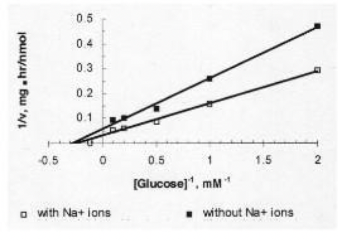 1/v, mg.hr/nmol
-0.5
0.5
0.4
0.3
0.2
0.1
0
☐ with Na+ ions
0.5
1
[Glucose]¹, mM
1.5
■ without Na+ ions
2