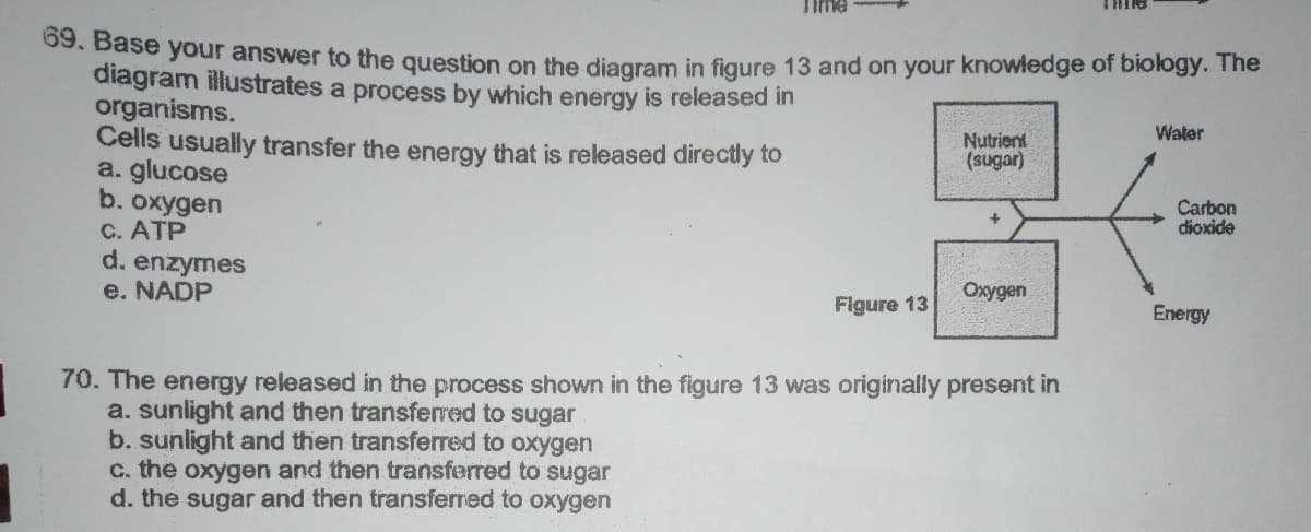 09. Base your answer to the question on the diagram in figure 13 and on your knowledge of biology. The
diagram illustrates a process by which energy is released in
organisms.
Cells usually transfer the energy that is released directly to
a. glucose
b. oxygen
C. ATP
d. enzymes
e. NADP
Water
Nutrient
(sugar)
Carbon
dioxide
Oxygen
Flgure 13
Energy
70. The energy released in the process shown in the figure 13 was originally present in
a. sunlight and then transferred to sugar
b. sunlight and then transferred to oxygen
c. the oxygen and then transferred to sugar
d. the sugar and then transferred to oxygen
