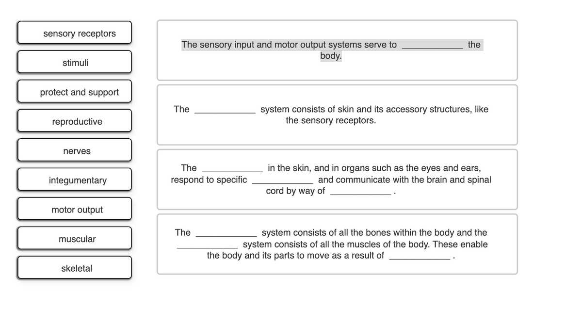 sensory receptors
The sensory input and motor output systems serve to
the
body.
stimuli
protect and support
system consists of skin and its accessory structures, like
the sensory receptors.
The
reproductive
nerves
in the skin, and in organs such as the eyes and ears,
and communicate with the brain and spinal
The
integumentary
respond to specific
cord by way of
motor output
The
system consists of all the bones within the body and the
system consists of all the muscles of the body. These enable
muscular
the body and its parts to move as a result of
skeletal
