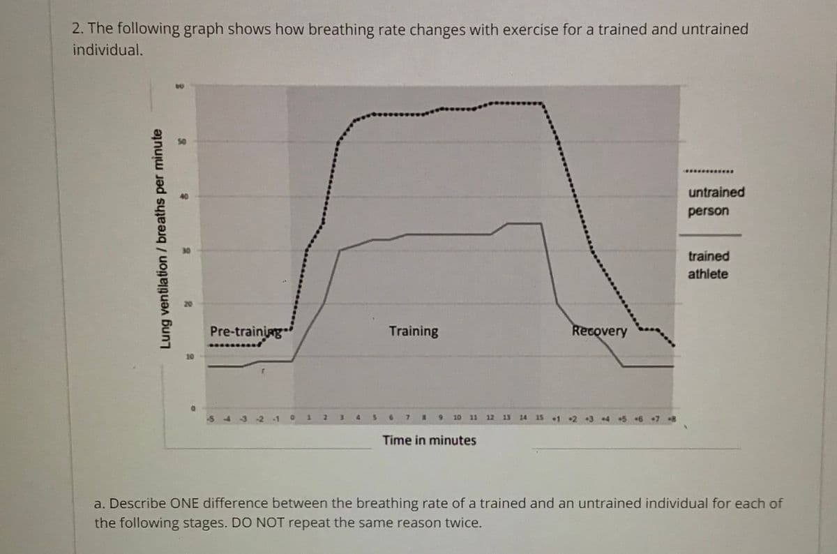 2. The following graph shows how breathing rate changes with exercise for a trained and untrained
individual.
untrained
person
trained
athlete
Pre-training
Training
Recovery
-543 -2 -1
2.
5.
78 9 10 11
12 13 14 15 1 2 +3 4 5 +6 +7 g
4.
Time in minutes
a. Describe ONE difference between the breathing rate of a trained and an untrained individual for each of
the following stages. DO NOT repeat the same reason twice.
Lung ventilation / breaths per minute
